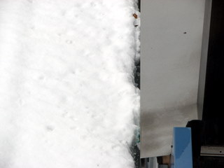 img_6775.jpg