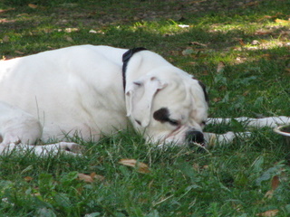img_3187.jpg