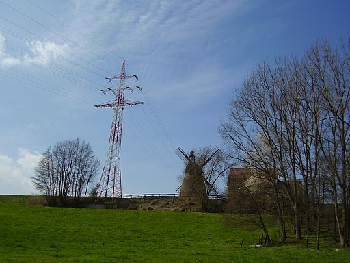 p4080098.jpg