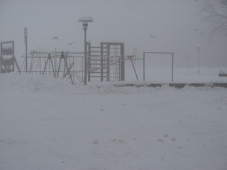 img_2783.jpg