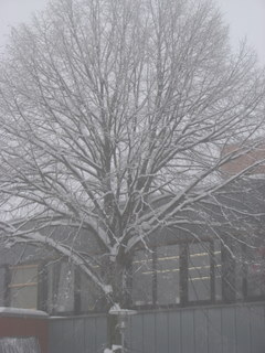 img_2785.jpg